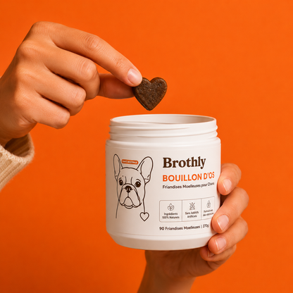 SOULAGEZ, NOURRISSEZ & REVITALISEZ VOTRE CHIEN !SOULAGEZ, NOURRISSEZ & REVITALISEZ VOTRE CHIEN !