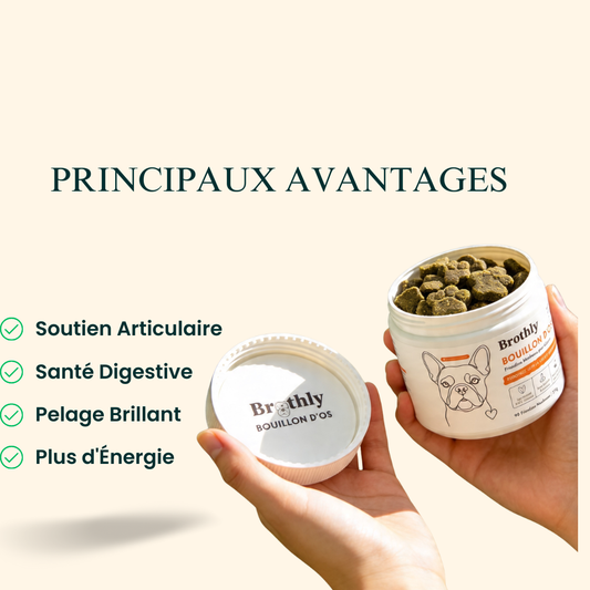 Brothly Friandises au Bouillon d'Os – Santé Articulaire & Bien-Être pour Chiens